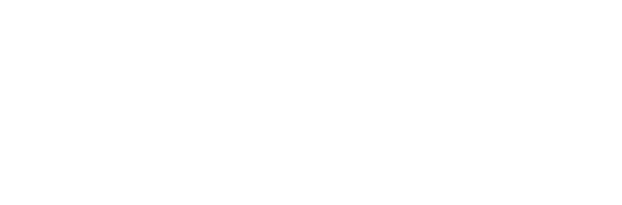 Fábio Torres
